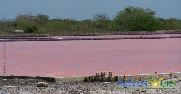 Cabo Rojo Salt Flats by AdvenTours ©